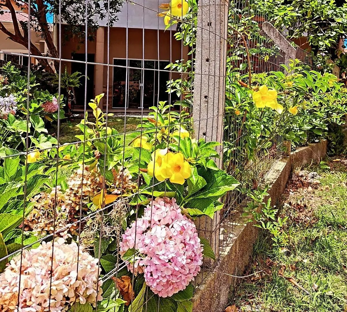 Apartamento Morada Do Sossego Palhoça